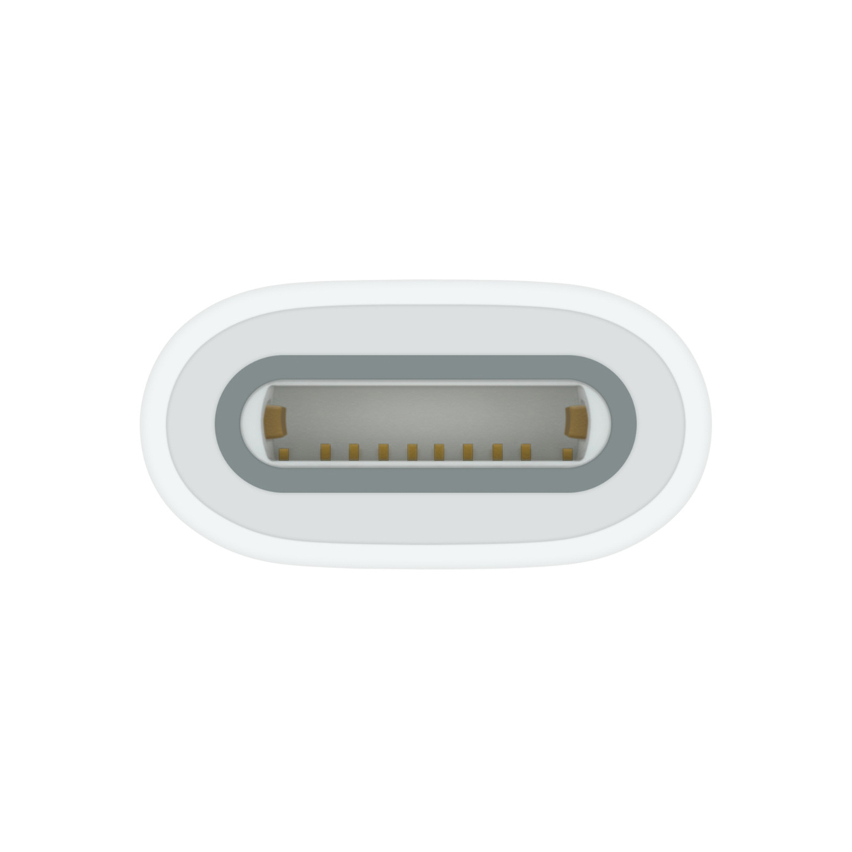 USB-C naar Apple Pencil Adapter - Wit