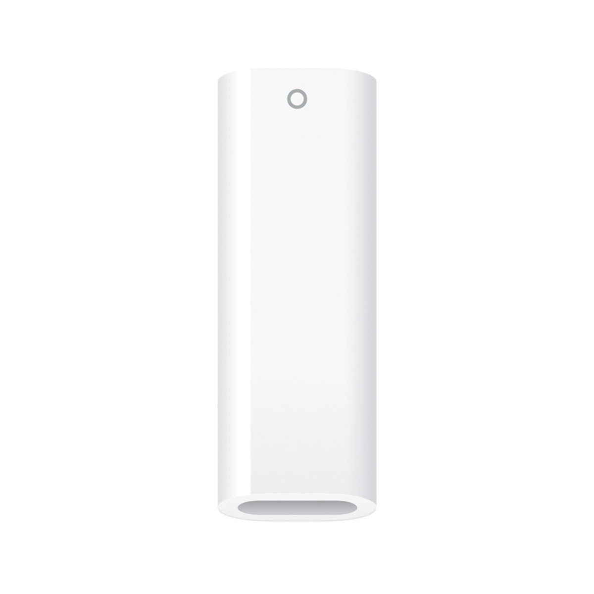 USB-C naar Apple Pencil Adapter - Wit