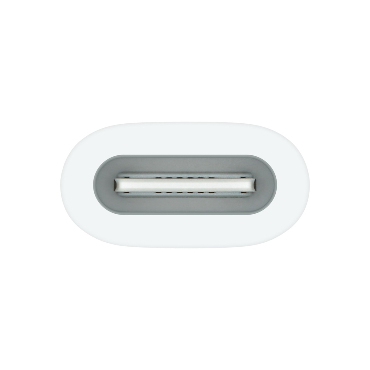 USB-C naar Apple Pencil Adapter - Wit