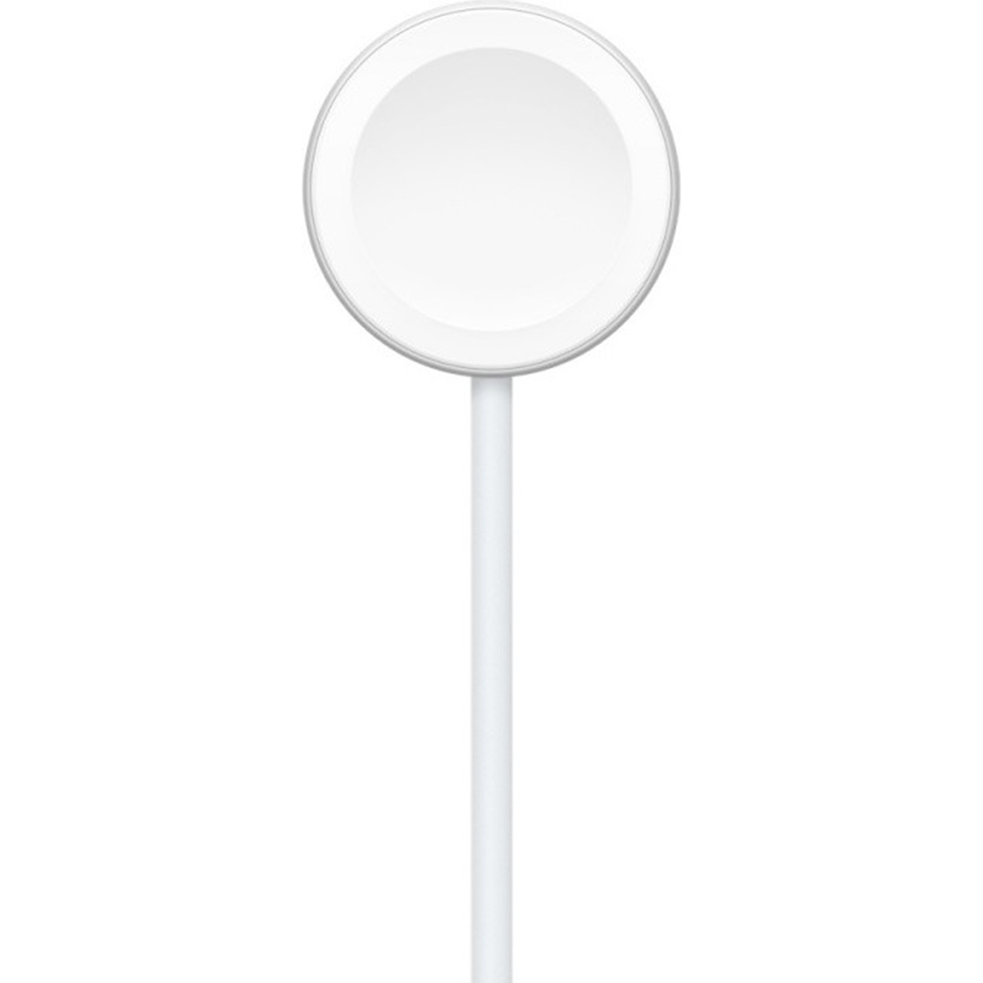 Magnetic Fast Charging Cable USB-C voor Apple Watch - 1 meter - Wit
