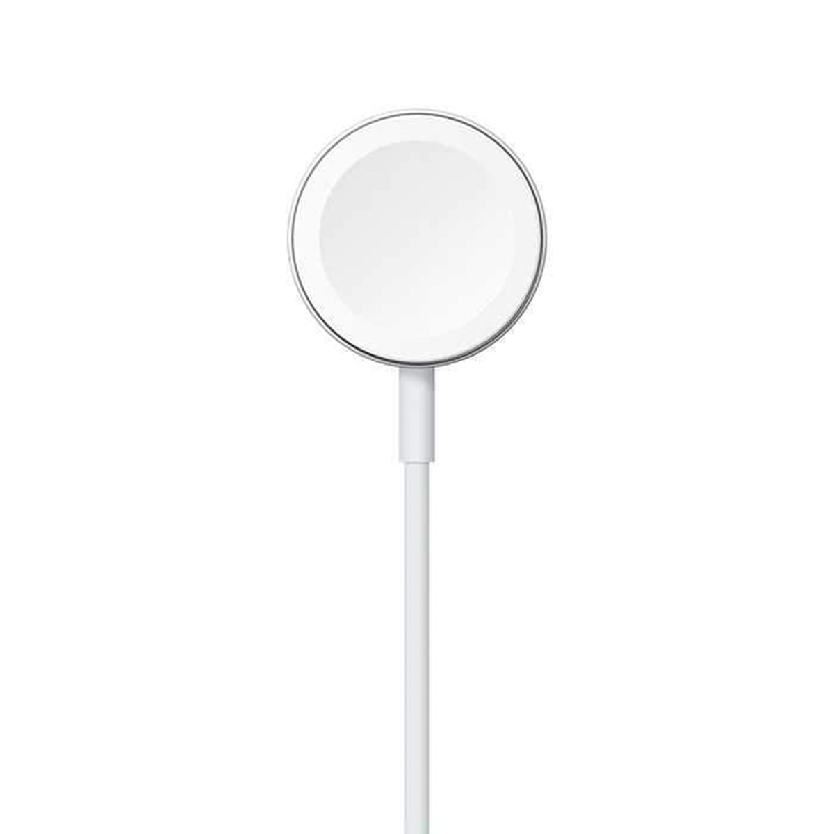 Magnetic Charging Cable Apple Watch - 0,3 meter - Wit USB-C